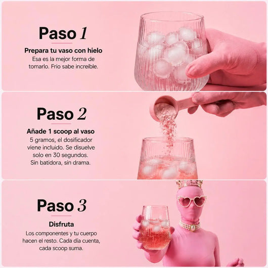 Protocolo Princesa En Apuros P